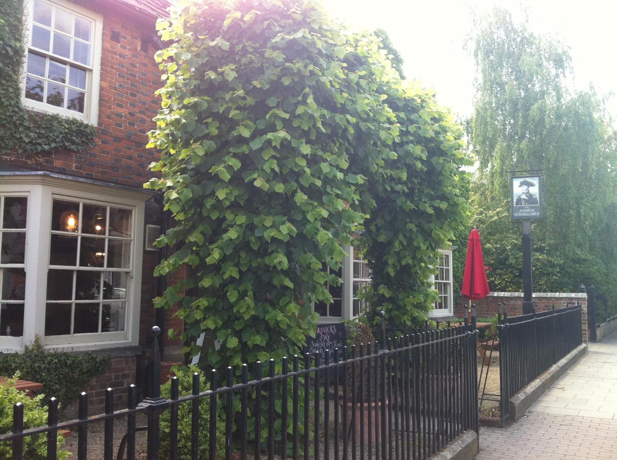 The Admiral Hornblower Oakham Exterior photo